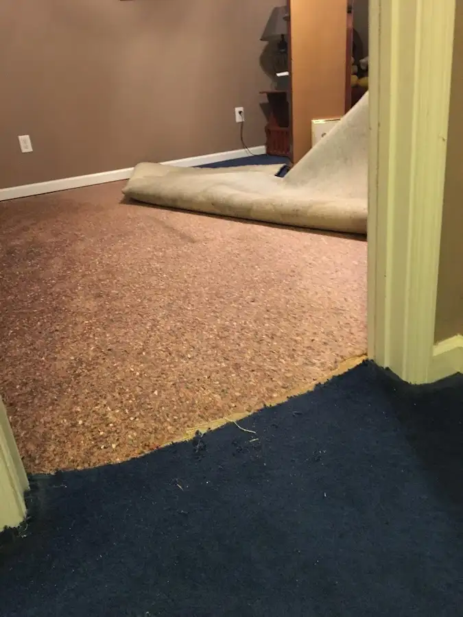 Carpet pad removal revealing water damage during Drying & Dehumidification in Lyons