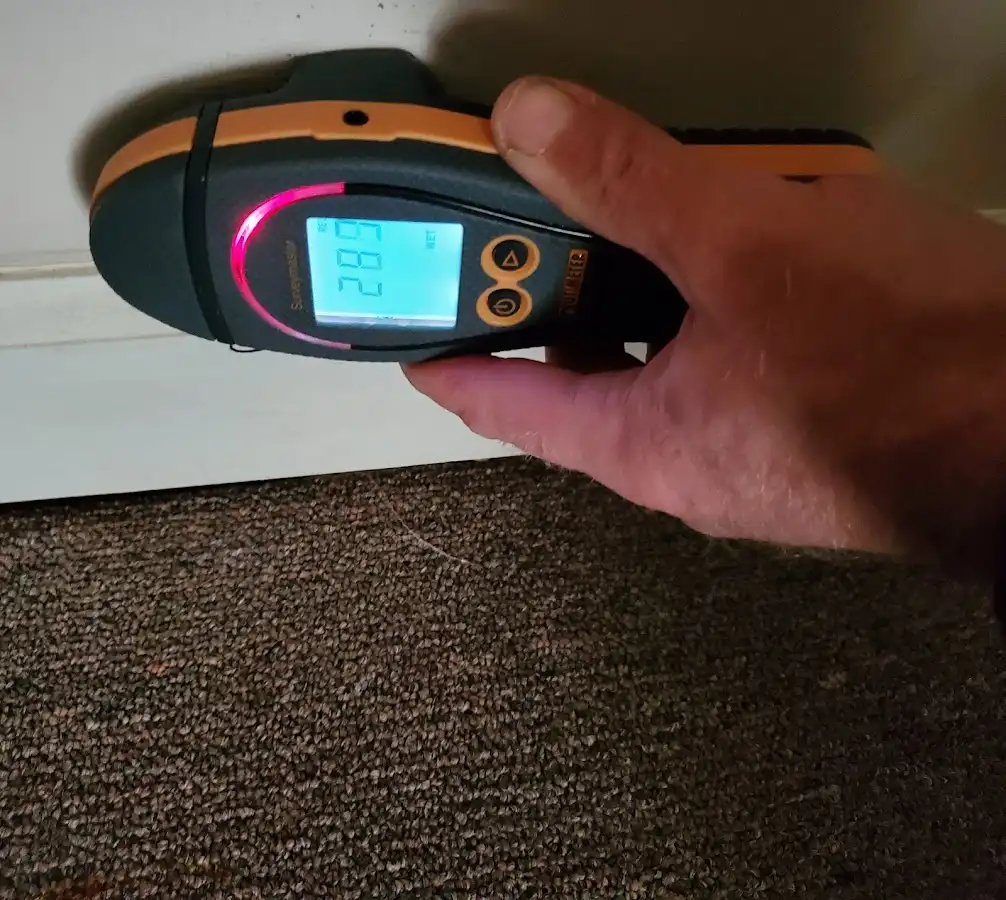 Moisture detection at baseboard during Mold Inspection & Testing in Lyons