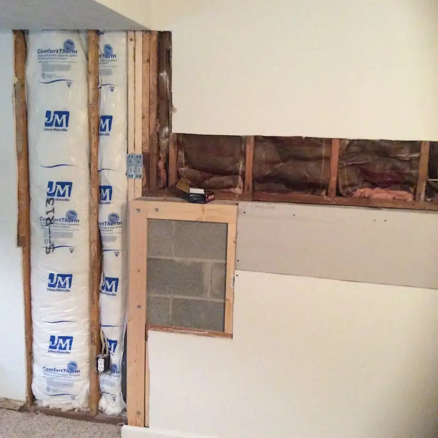 Wall insulation replacement during Odor Removal & Deodorization in Lyons